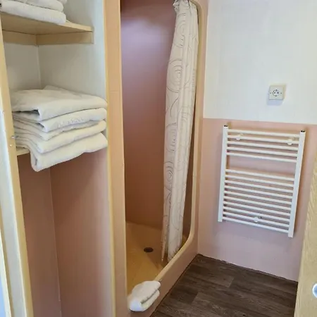 Pusteblume Und Fauler Kater Apartment *